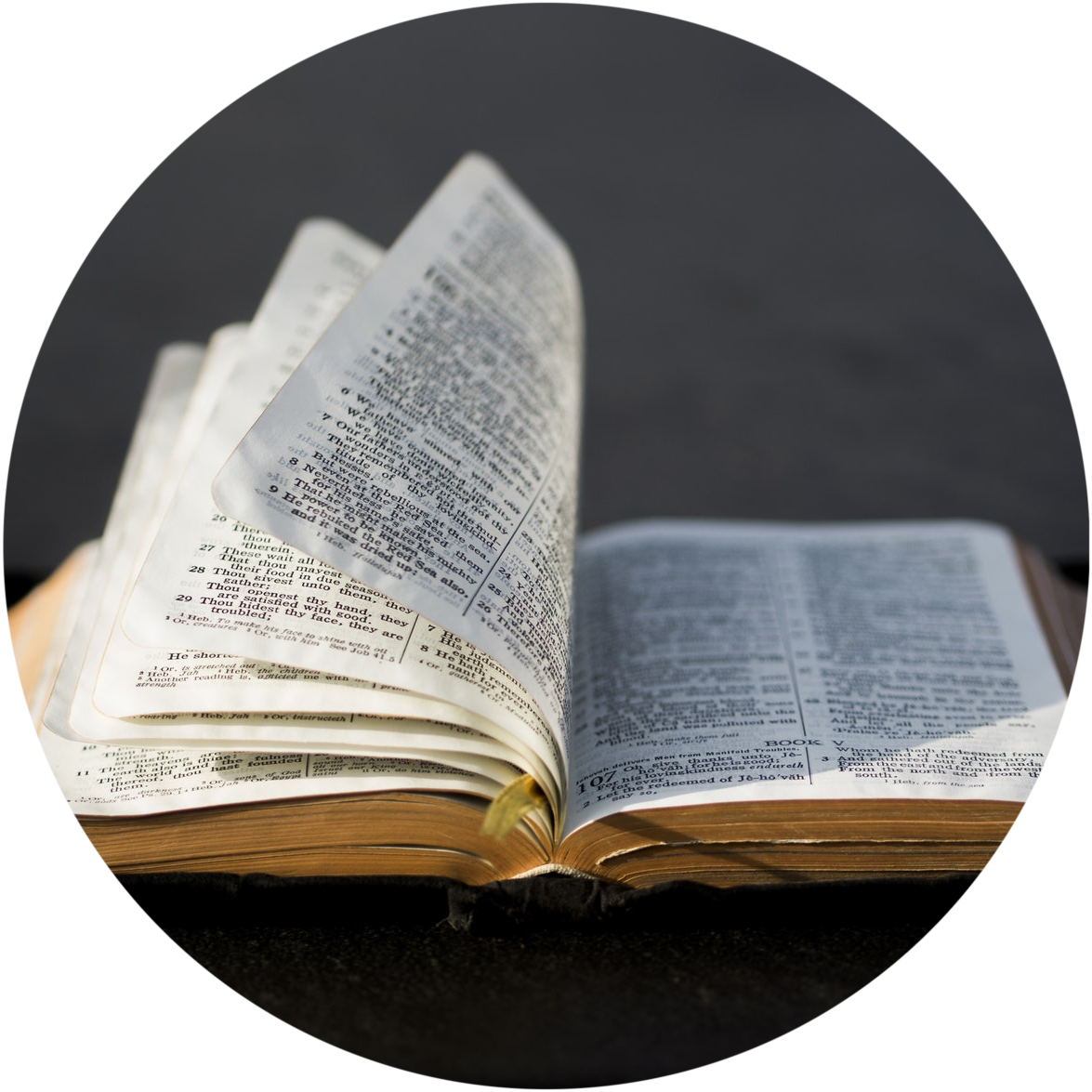 MEDIA Buffat Heights Baptist Church